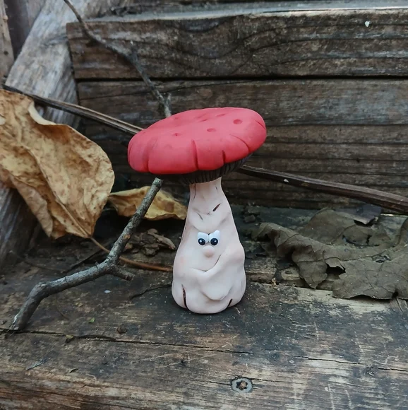 🧡🤎Mushroom Face 🥀🌸 Funny 🍄🟫🍄 - Picture 1 of 7